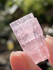 Bubblegum Pink Paprok