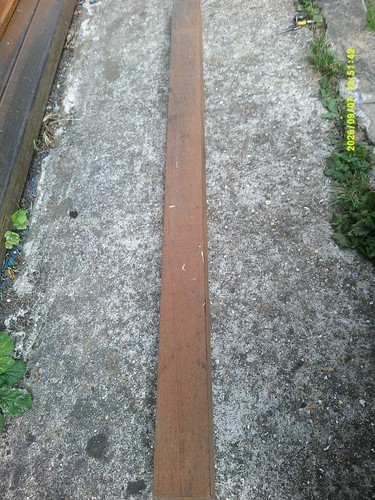 Brazilian mahogany kiln - brazilian,