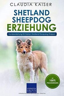 Shetland sheepdog erziehung - shetland,