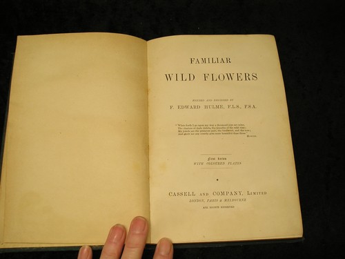 Familiar wild flowers 1st - flowers, to