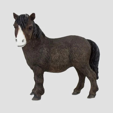 Shetland pony model - shetland, by