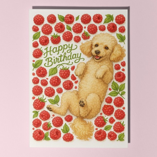 Raspberry poodle dog happy - -,