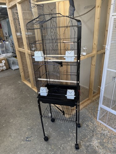 Brand new small - new, budgie