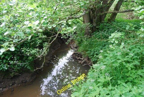 Photo 6x4 river grom ramslye - photo,