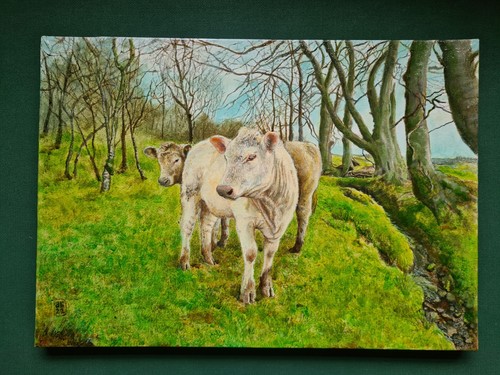 Original oil cow - oil, field