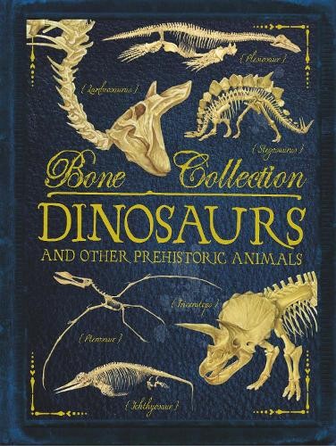 Bone collections dinosaurs - collections:,