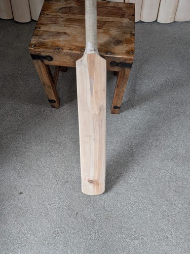 Gray nicolls scoop 2000 - gray-nicolls,