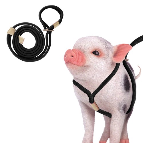 Pig harness adjustable feet - pig,