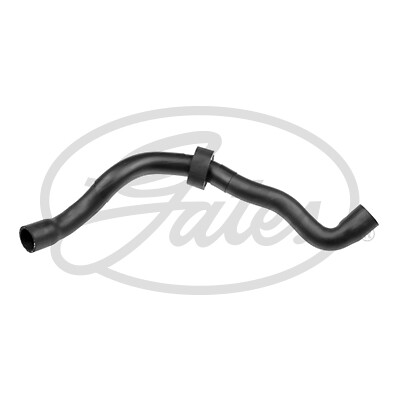 New radiator hose - hose, for
