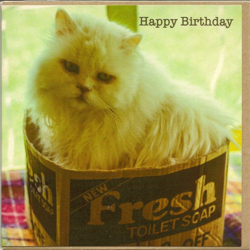 Open happy birthday greeting - birthday,