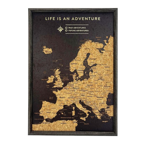 Europe travel map pin board - travel,