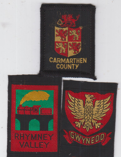 Boy scout badges ext - badges, gwynedd