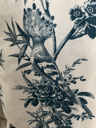 Vintage style botanical - botanical, print