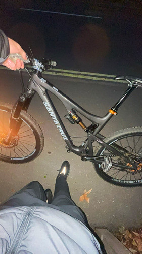 Santa cruz bronson - bronson, full