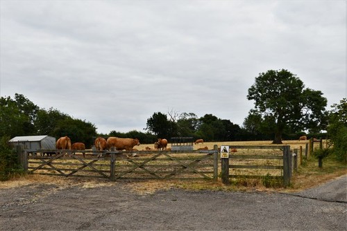 Photo 12x8 tibenham - photo, tibenham: