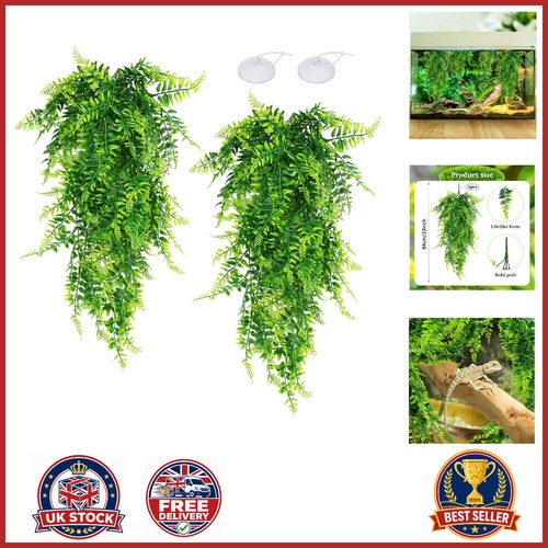 Reptile tank accessories - reptile, 2