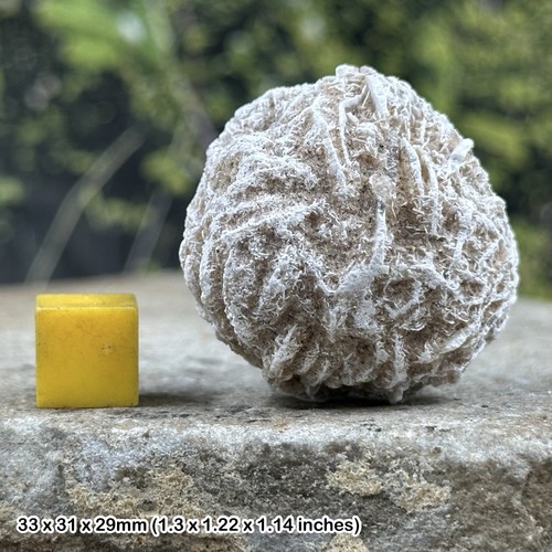 Selenite desert rose crystal - selenite,