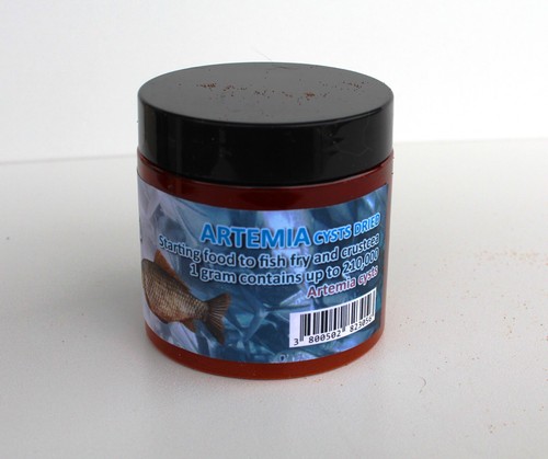 Artemia salina brine - artemia,