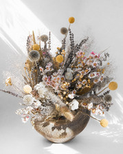 Dried Flowers Autumn Harvest