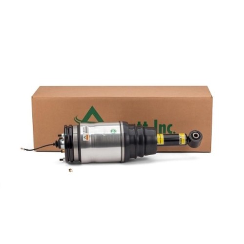 Arnott rear air - rear,