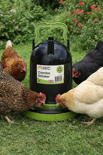 Chicken recycled drinker - chicken,