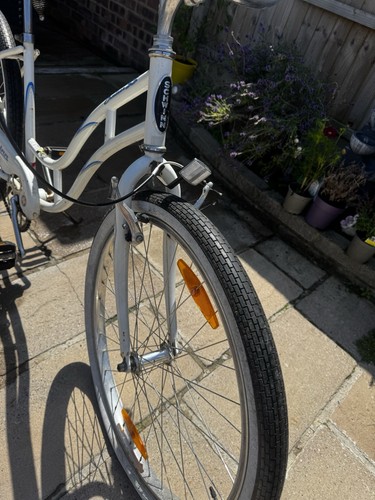 Beach cruiser bike custom - bike,