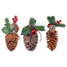 Assorted Pine Cone Hanging Decoration 21cm
