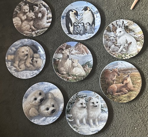 Wwf collectors artic wildlife - wwf,