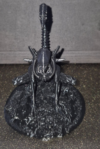 Alien xenomorph creature - xenomorph,