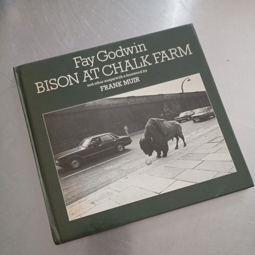 Fay godwin bison chalk - godwin,, at