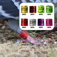 50x Pigeon Leg Rings