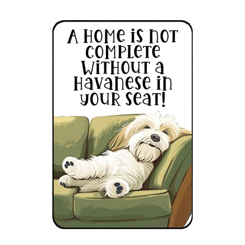 Havanese dog fridge magnet - havanese,