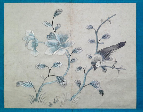 Bird rose chinese - rose,