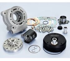 140.0229 POLINI D.52 100CC