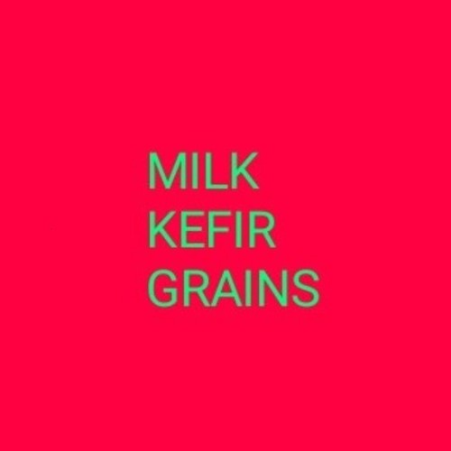 Milk kefir grains - milk,