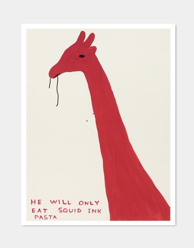David shrigley will only - david,