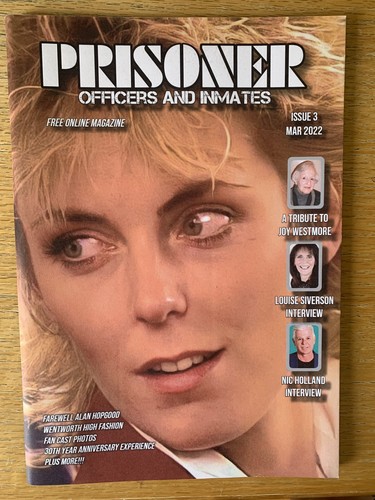 Prisoner cell block magazine - block, h