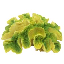 Large bright green yellow - /,