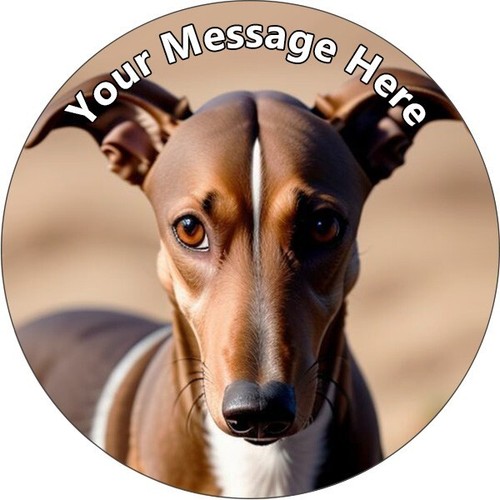 Greyhound dogs racing pets - dogs,