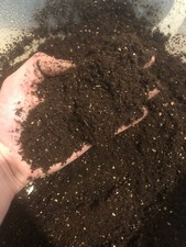 Mushroom Sterilised Coco Coir Vermiculite Gypsum Bulk Substrate 2L, 4L, 8L