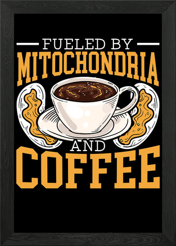 Mitochondria and coffee framed - and,