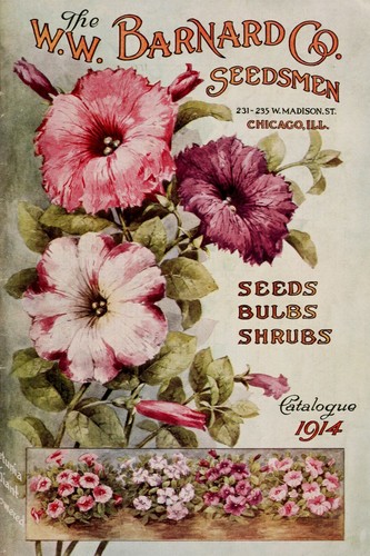 Gardening catalogue petunia - catalogue,