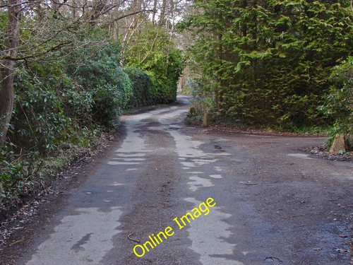 Photo 12x8 hollybush ride - photo,