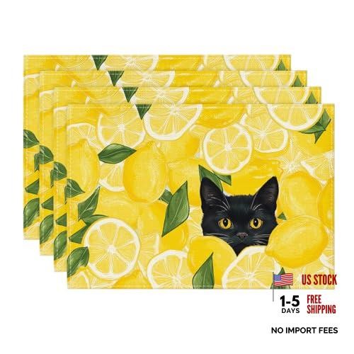 Lemon cat summer placemats set - cat,