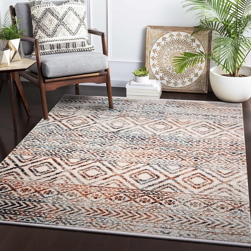 Modern large area rugs - modern,