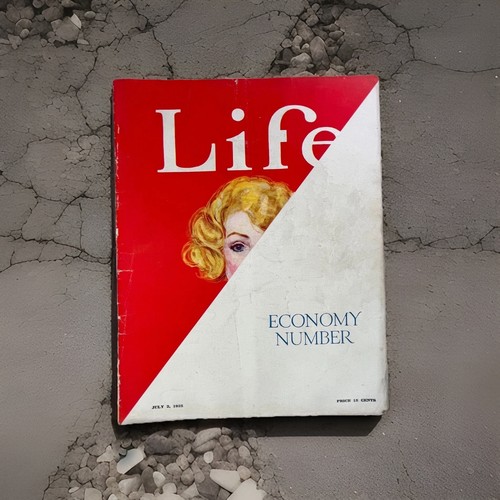 Vintage magazine life - magazine,