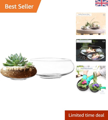 Clear glass terrarium bowls - clear,