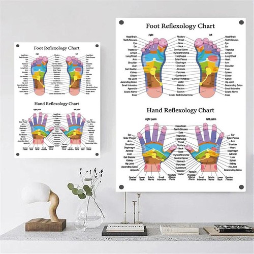 Foot hand - foot,