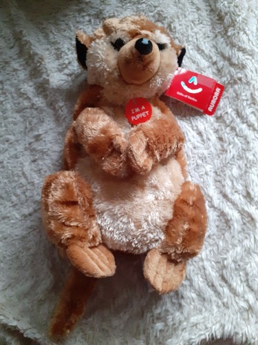 Rare aurora meerkat 11 - rare,