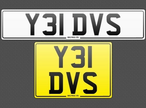 Daves davis david y31 - david,